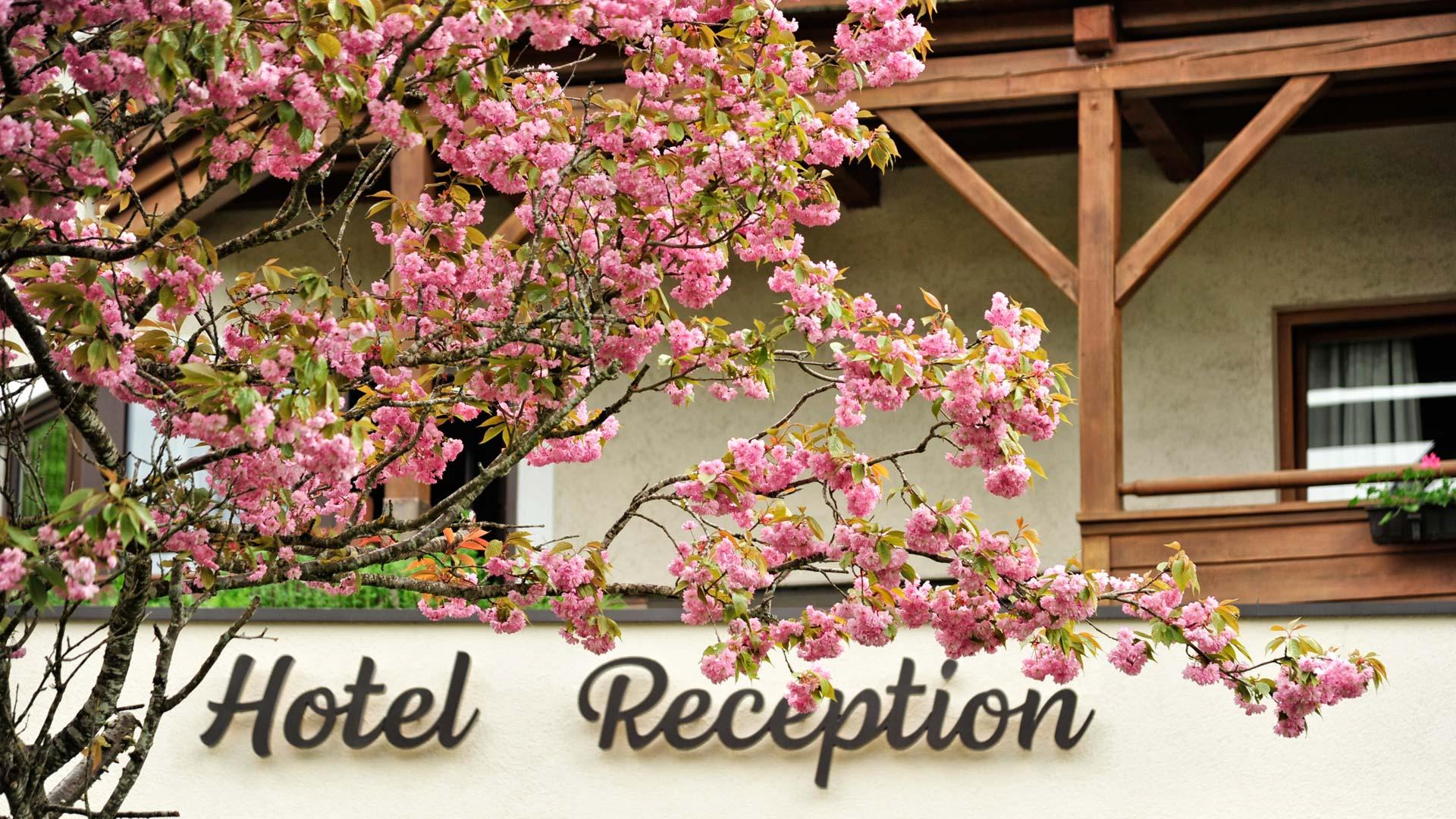 Hotel Fischerwirt Am Achensee Achenkirch Exterior foto